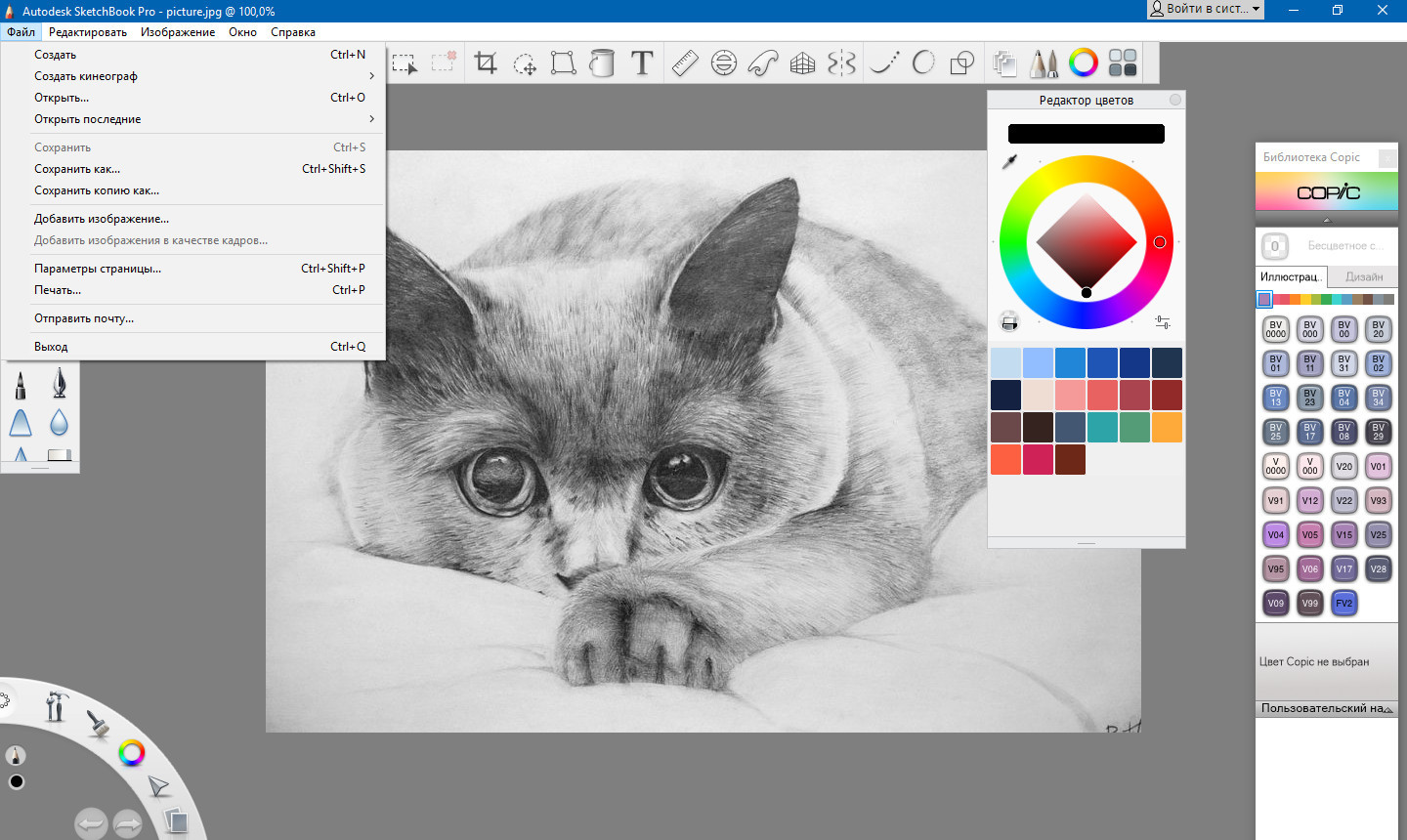 Autodesk Sketchbook Pro 2021 v8.8.0