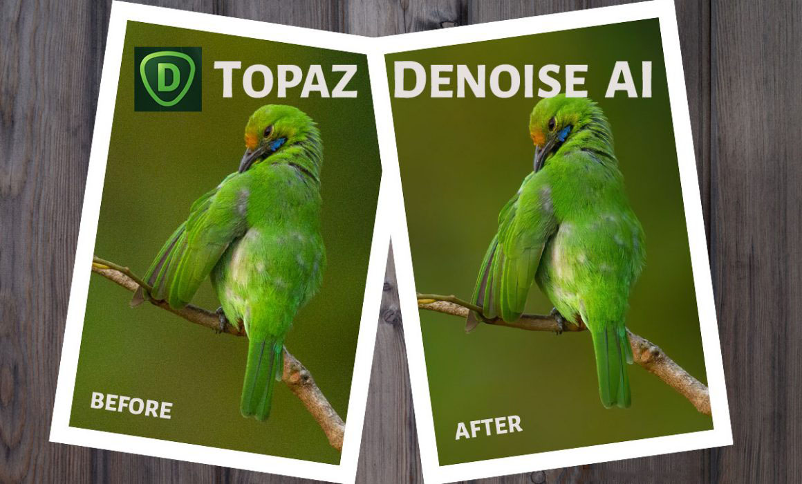 Topaz DeNoise AI 3.1.0 RePack + Portable 2021 торрент